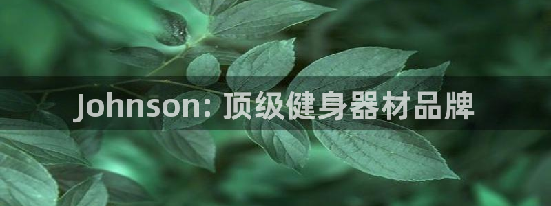 意昂体育3平台假的吗是真的吗：Johnson: 顶级健身器材