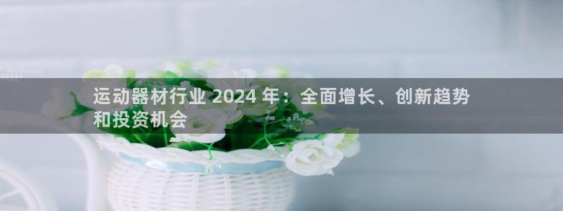 意昂体育3开户:运动器材行业 2024 年:全面增长、创新趋