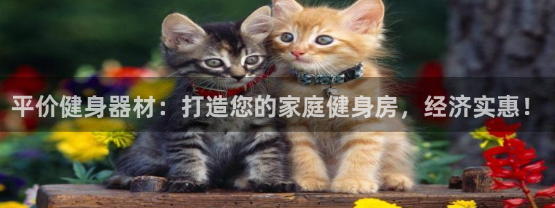 意昂体育3联系电话:平价健身器材:打造您的家庭健身房,经济实