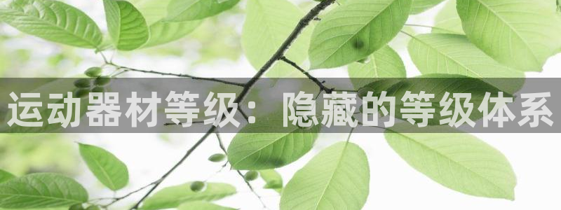 意昂体育3平台注册:运动器材等级:隐藏的等级体系