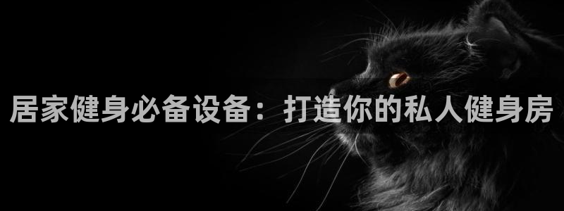 意昂3新能源:居家健身必备设备:打造你的私人健身房