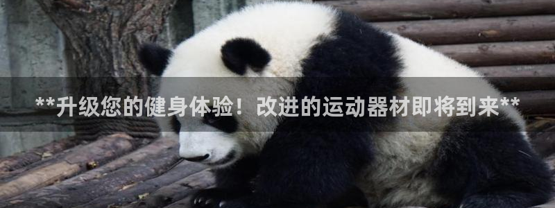 意昂体育3招商电话是多少:**升级您的健身体验!改进的运动器