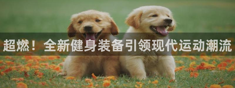 意昂体育3平台APP