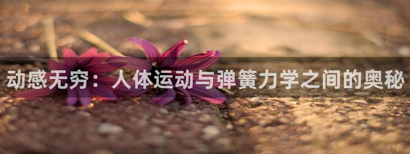 意昂体育3平台注册流程图